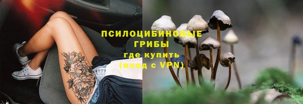 дживик Карпинск